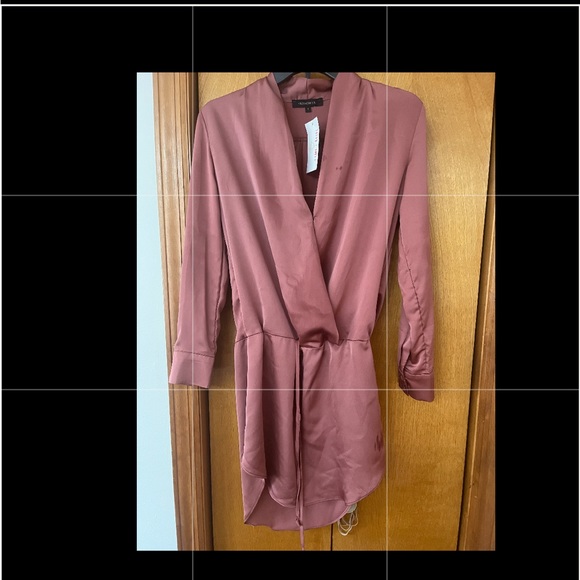 Game and Rebel silk rose colored dress - Picture 1 of 4